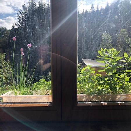 A L'Oree De Soi - Maison Forestiere De La Soie - Eco Gite, Chambres D'Hotes, Camping Au Pied Des Vosges Saint-Sauveur  Luaran gambar