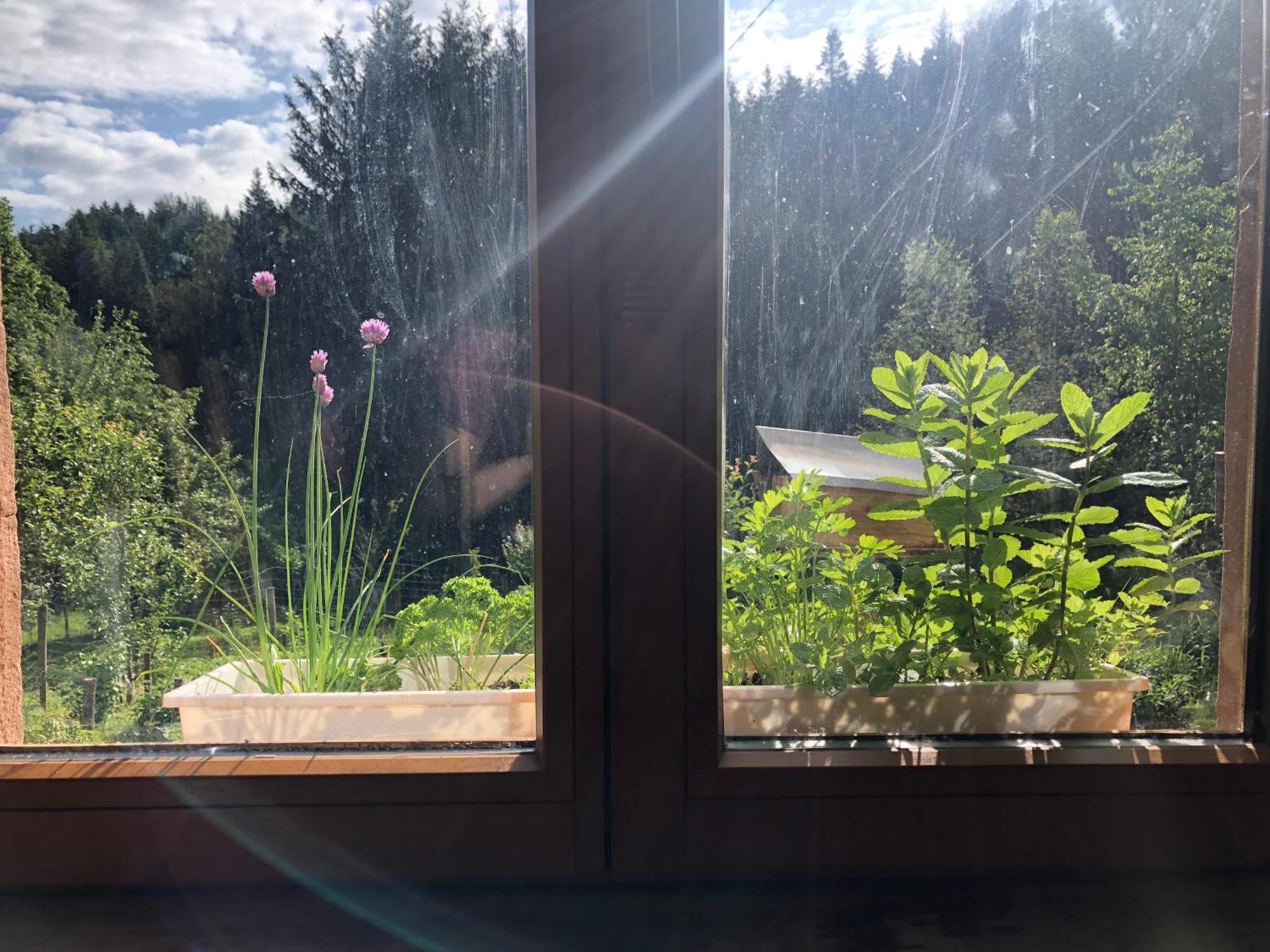 A L'Oree De Soi - Maison Forestiere De La Soie - Eco Gite, Chambres D'Hotes, Camping Au Pied Des Vosges Saint-Sauveur  Luaran gambar