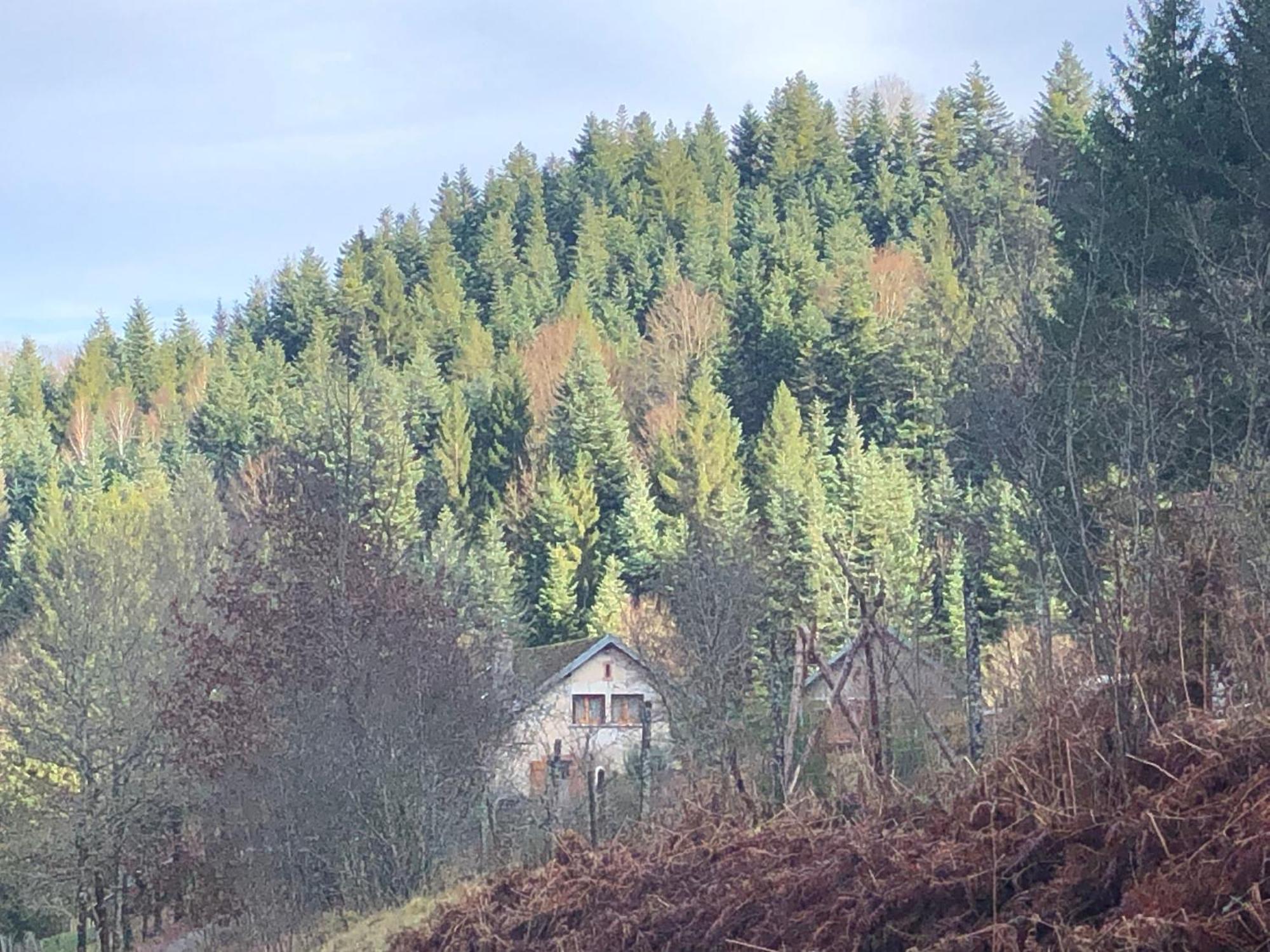 A L'Oree De Soi - Maison Forestiere De La Soie - Eco Gite, Chambres D'Hotes, Camping Au Pied Des Vosges Saint-Sauveur  Luaran gambar
