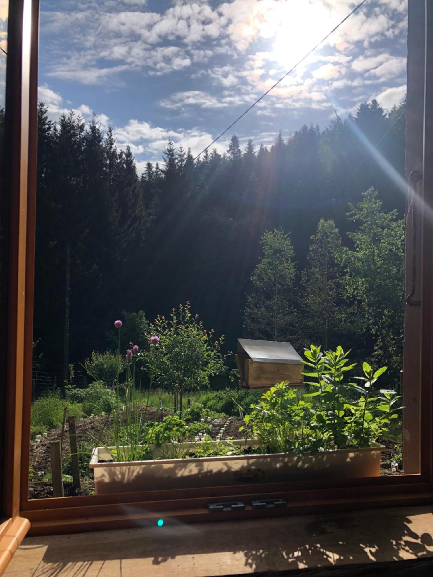 A L'Oree De Soi - Maison Forestiere De La Soie - Eco Gite, Chambres D'Hotes, Camping Au Pied Des Vosges Saint-Sauveur  Luaran gambar