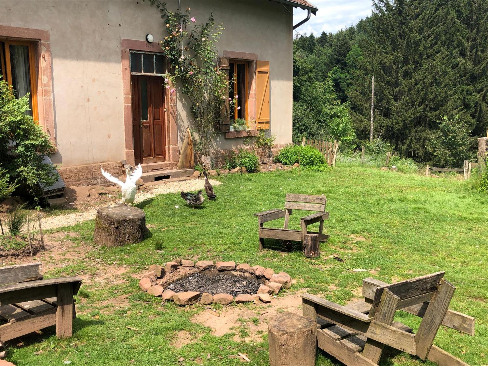 A L'Oree De Soi - Maison Forestiere De La Soie - Eco Gite, Chambres D'Hotes, Camping Au Pied Des Vosges Saint-Sauveur  Luaran gambar