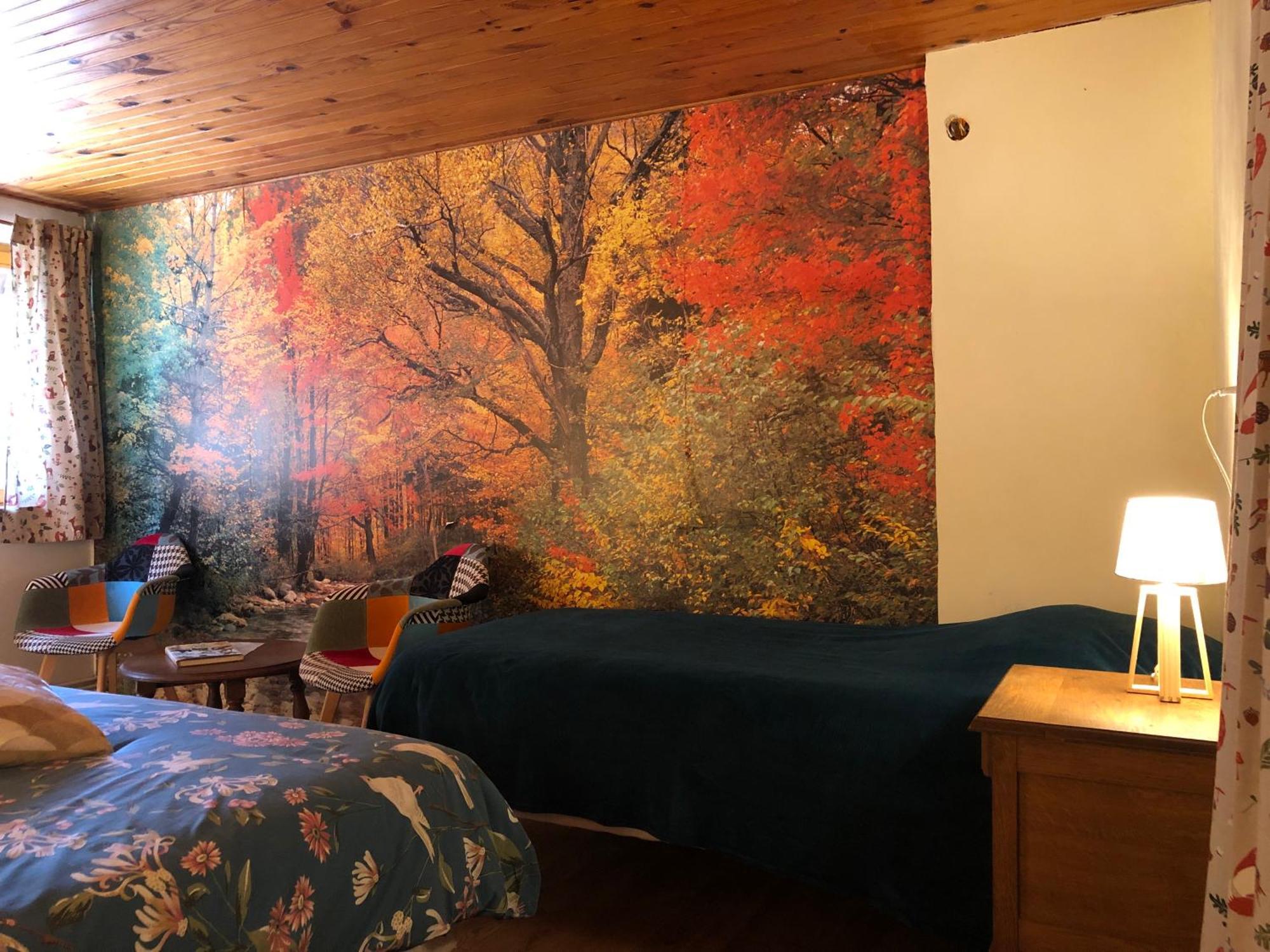 A L'Oree De Soi - Maison Forestiere De La Soie - Eco Gite, Chambres D'Hotes, Camping Au Pied Des Vosges Saint-Sauveur  Luaran gambar