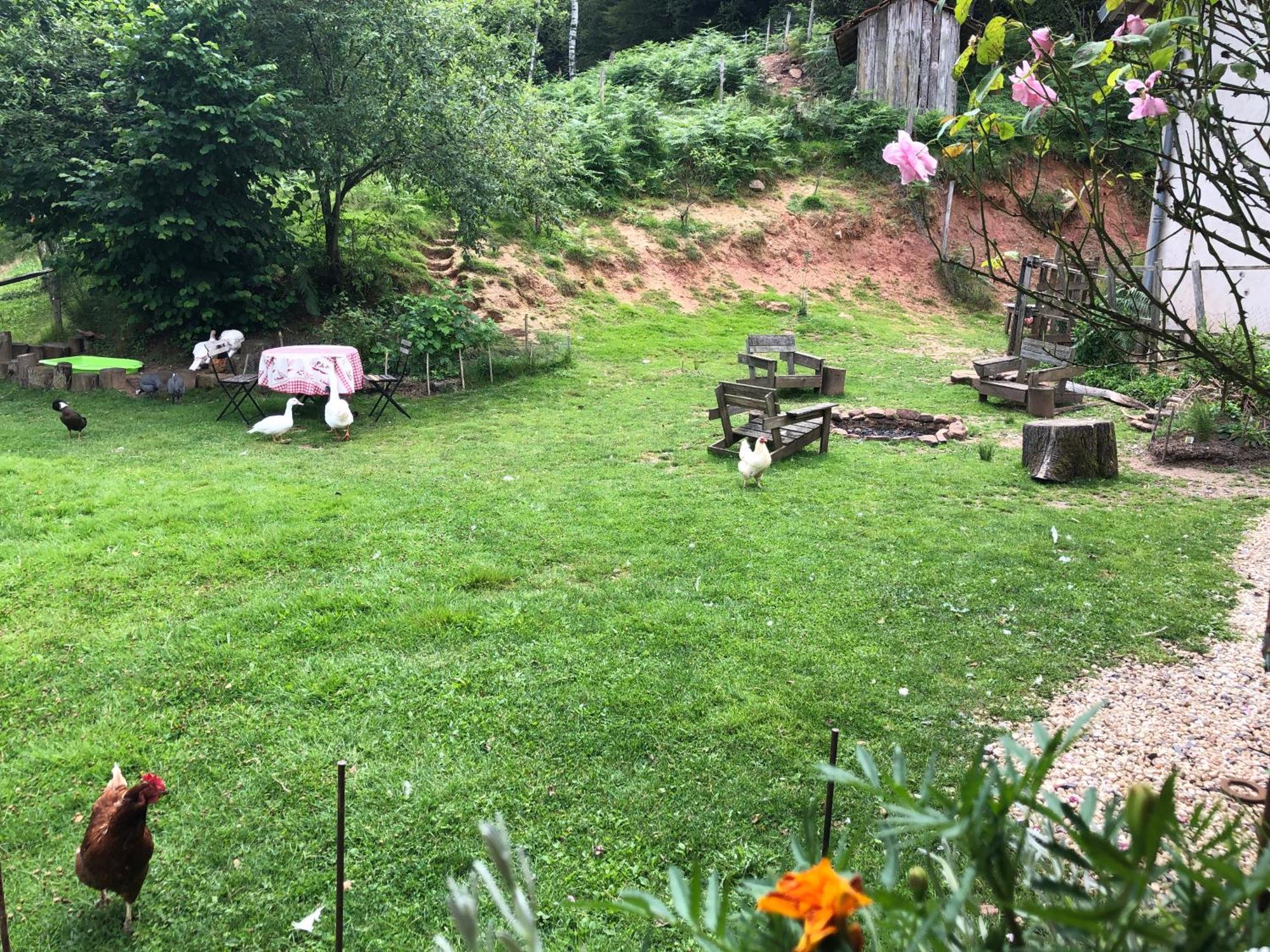 A L'Oree De Soi - Maison Forestiere De La Soie - Eco Gite, Chambres D'Hotes, Camping Au Pied Des Vosges Saint-Sauveur  Luaran gambar